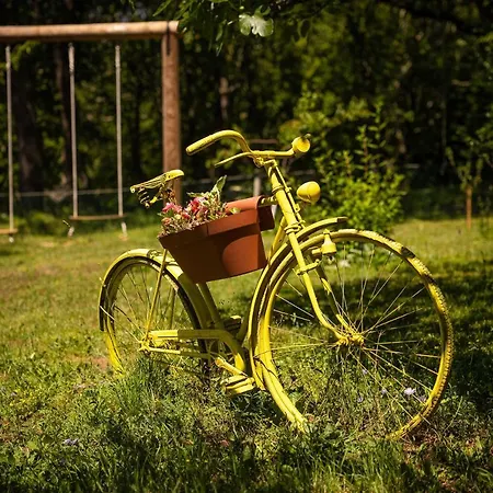 Darija With Heated Pool Grižane