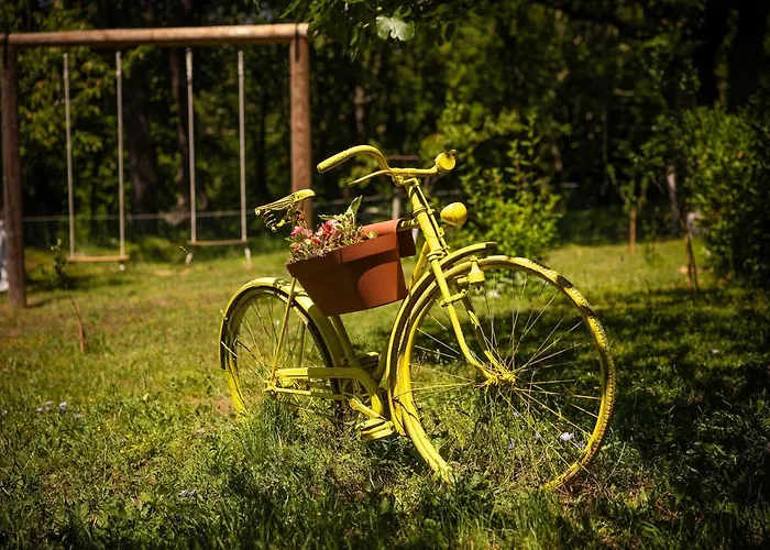 Darija With Heated Pool Grižane